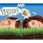 Pushing Daisies Season 1 [HD]