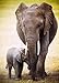 Eurographics Elephant and Baby 1000-Piece Puzzle