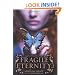 Fragile Eternity (Wicked Lovely)