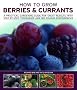 How To Grow Berries & Currants