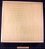 P102-1919-6 HEPA Filter