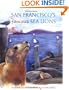 San Francisco's Famous Sea Lions