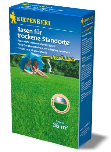 Rasenmischung Rasen für trockene Standorte