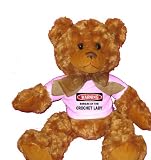 WARNING BEWARE OF THE CROCHET LADY Plush Teddy Bear with WHITE T-Shirt