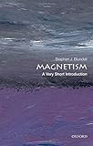 Magnetism : a very short introduction