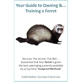 YourFerret:Tips-Tricks-Training-HealthandFeeding