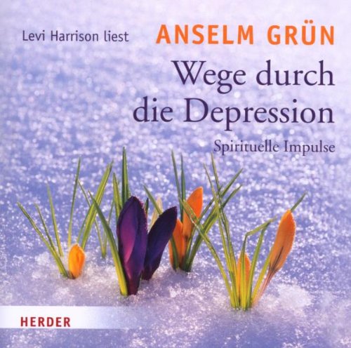 Produkt-Bild: Wege Durch die Depression