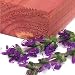 CedarFresh Cedar with Lavender Blocks, Set of 4