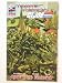 Search : transformers/GI Joe-Divided Front #1