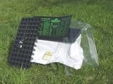 Cold Frame: Hot House With Heated Mat