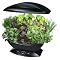 AeroGarden Garden System and Herb Kit - Black