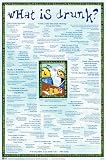 WHAT IS DRUNK? COLLEGE LIST 24X36 WALL POSTER 24134