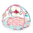Bright Starts Activity Gym, Petals and Friends