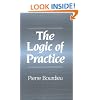 The Logic of Practice