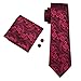 CAOFENVOO Men's Silk Tie Necktie set