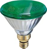 GE 13474 85-Watt Outdoor Bulb Green