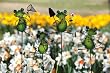 4 Assorted Frog Garden Stakes