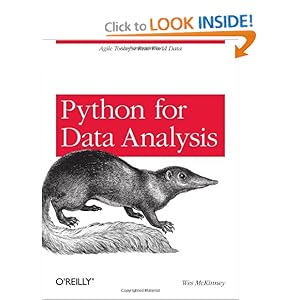 Python for Data Analysis [Paperback]
