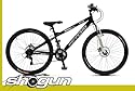 26" MOUNTAINBIKE DIRTBIKE FAHRRAD 2x DISC PSYCHO