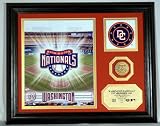 Washington Nationals Team Pride Photo Mint