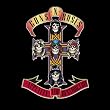 Appetite for Destruction