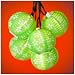 Green Lantern Floral Patterned Party String Lights