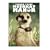 Meerkat Manor, Season 3