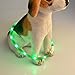 LED Pet Dog Collar,Pashion USB Rechargeable LED Light-Up Safety Neck Loop One Size Fits All Waterproof Night Safety Pet Dog Collar (Green)