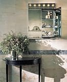Robern BFC2428 Two-door Flat Beveled Mirrored Cabinet, 24W x 28H (BFC2428)