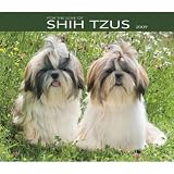 For the Love of Shih Tzu 2009 Deluxe Wall Calendar