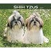 shih tzu - For the Love of Shih Tzu 2009 Deluxe Wall Calendar
