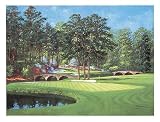 11Th At Augusta � White Dogwood - Artist: Bernard Willington - Art Print on Canvas - Image Size: 24.00 by 18.00 inches Art Print on Canvas