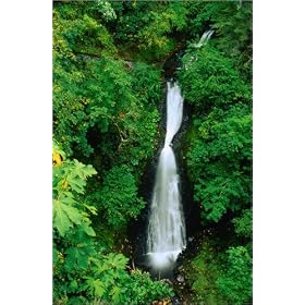 photographie Sheperds Dell Falls, Columbia River Gorge, Oregon est disperible en (L x H): 20 x 30...