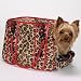 Pet Supplies : Safari Pet Carriers