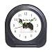 Border Collie Travel Alarm Clock