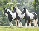 Gypsy Vanner Horse 2011 Wall Calendar