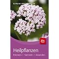 Heilpflanzen: Erkennen � Sammeln � Anwenden