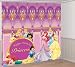 8' Disney Princess Giant Decorating Set