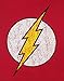 Official Flash Distressed Logo Women's Hoodie