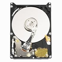 Western Digital WD3200BEVE Scorpio Blue 320GB interne Festplatte (6,4 cm (2,5 Zoll), 5400rpm, 8MB Cache) Bulk