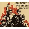 Look Directly Into the Sun: China Pop 2007