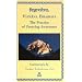 Vijnana Bhairava The Practice of Centring Awareness
