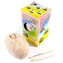 Dig it Out Dinosaur Hatching from Egg