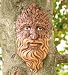 Woodsman Tree Face Sculpture