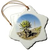 Danita Delimont - Ethiopia - Giant Loebelia, Bale Mountains, Ethiopia - AF16 MZW0101 - Martin Zwick - Ornaments - 3 inch Snowflake Porcelain Ornament (orn_131543_1)