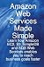 Amazon Web Services Made Simple: Learn How Amazon Ec2, S3, Simpledb and Sqs Web Services Enables You to Reach Business Goals Faster