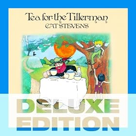 Tea For The Tillerman