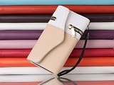 Pandamimi Dexule Travel Wristlet Wallet Clutch Bag Pouch Case Cover for Apple iPhone 5 5th Generation 5G (AT&T, T-Mobile, Sprint, Verizon) (White/Beige) with Screen Protector