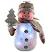 35cm Snowman With LED Lights, Pink Hat & Silver Tree Sign Christmas Decoration