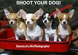 Shoot Your Dog with a Digital Camera Secrets of a Pet Photographer